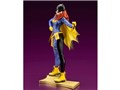 BISHOUJO�V���[�Y DC COMICS������ 1/7 �o�b�g�K�[��(�o�[�o���E�S�[�h��)