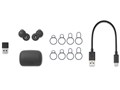LinkBuds UC for Microsoft Teams WF-L900UC