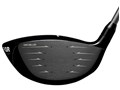 RS JUST D �h���C�o�[ [VENTUS BLUE 5 �t���b�N�X�FR ���t�g�F9.5]
