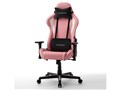 �t�H�[�~�����V���[�Y DXZ-PKW V2 PASTEL [�s���N]