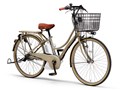 PAS Ami PA26A 2023�N���f�� [�}�J�������e] + ��p�[�d��