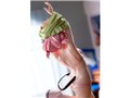 ToLOVE��-�Ƃ�Ԃ�-�_�[�N�l�X �����E�x���A�E�f�r���[�N �����ւ�mode