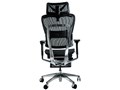 COFO Chair Premium FCC-XB [�u���b�N]