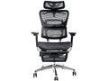 COFO Chair Premium