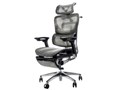 COFO Chair Premium FCC-XG [�O���[]