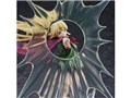 BURN THE WITCH �j�j�[�E�X�p���R�[��