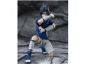 S.H.Figuarts �����̓T�X�P -�����͂̌����h���V�˔E��-