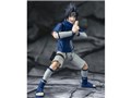 S.H.Figuarts �����̓T�X�P -�����͂̌����h���V�˔E��-
