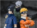 S.H.Figuarts �����̓T�X�P -�����͂̌����h���V�˔E��-
