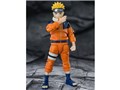 S.H.Figuarts �����܂��i���g -�ӊO��No.1�̃h�^�o�^�E��-