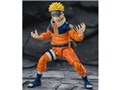 S.H.Figuarts �����܂��i���g -�ӊO��No.1�̃h�^�o�^�E��-