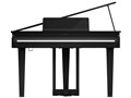 DIGITAL PIANO GP-3