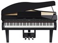 DIGITAL PIANO GP-3