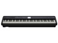 Digital Piano FP-E50
