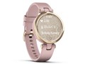 Lily Sport 010-02384-43 [Dust Rose/Cream Gold]