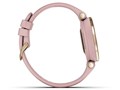 Lily Sport 010-02384-43 [Dust Rose/Cream Gold]