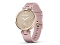 Lily Sport 010-02384-43 [Dust Rose/Cream Gold]