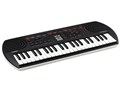 Casiotone SA-81 [�u���b�N]