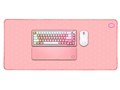SAKURA Combo 2023 MS-2023-SAKURA-ASK �Ԏ� [�s���N]