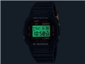 G-SHOCK 40th Anniversary RECRYSTALLIZED�V���[�Y ���胂�f�� DW-5040PG-1JR