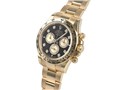 �R�X���O���t �f�C�g�i 126508 [8P�_�C�� �I�C�X�^�[�u���X���b�g �u���C�g�u���b�N&�S�[���f��]