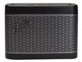 Fender Audio NEWPORT 2 [Black/Gunmetal]