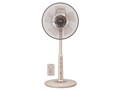 R30J-RC-T [�R�R�A�x�[�W��]