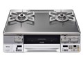NVGvC RTE65VAGPA-GR LP