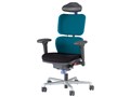 �A�C�E�r�[�g�� No.2413F [�^�[�R�C�Y�u���[]