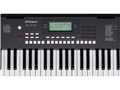 Arranger Keyboard E-X10