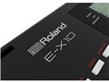 Arranger Keyboard E-X10