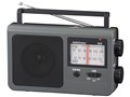 AudioComm RAD-T785Z-H [�O���[]