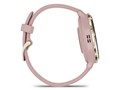 Venu 3S 010-02785-43 [Pink Dawn/Peach Gold]