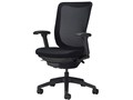 ���C�I�X No.3547F-K [�u���b�N]
