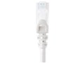 500-LAN6AN-02W [2m �z���C�g]