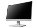 LCD-A221DW [21.5�C���` �z���C�g]