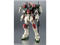 ROBOT魂 <SIDE MS> GAT-X103 バスターガンダム ver. A.N.I.M.E.