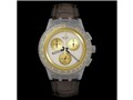 GOLDEN RADIANCE SUSM100