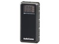 AudioComm RAD-P255N