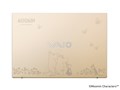 VAIO F14 VJF1418 ���[�~�����f�� Windows 11 Home�ECore i3 1315U�E8GB�������ESSD 256GB�EOffice�Ȃ��E�}�E�X���� [�T�e���S�[���h]