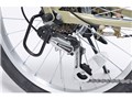 MF209 BRANCHE [�J�t�F]