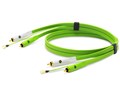 d+ RCA for Turn Table class B [1m]