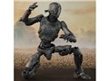 S.H.Figuarts �W�~�[(REBEL MOON �[ �p�[�g1�F ���̎q)
