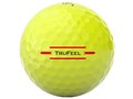 TRUFEEL 2024�N���f�� [�C�G���[]