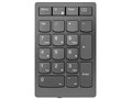 Lenovo Go CX lL[pbh 4Y41C33791 [Xg[EO[]