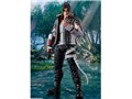 S.H.Figuarts ���� �m