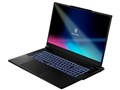 GALLERIA UL9C-R49 Core i9 13900HX/RTX 4090/17.3�C���` QHD�t�� 240Hz/32GB������/1TB Gen4 SSD K/13022-11b
