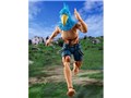 S.H.Figuarts �T�����N