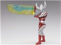 S.H.Figuarts �E���g���̕�