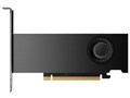 NVIDIA RTX 2000 Ada ENQR2000A-16GER [PCIExp 16GB]